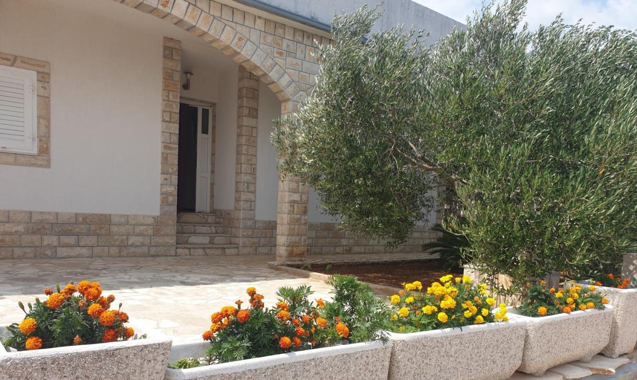 Villa Senka Nečujam Kültér fotó